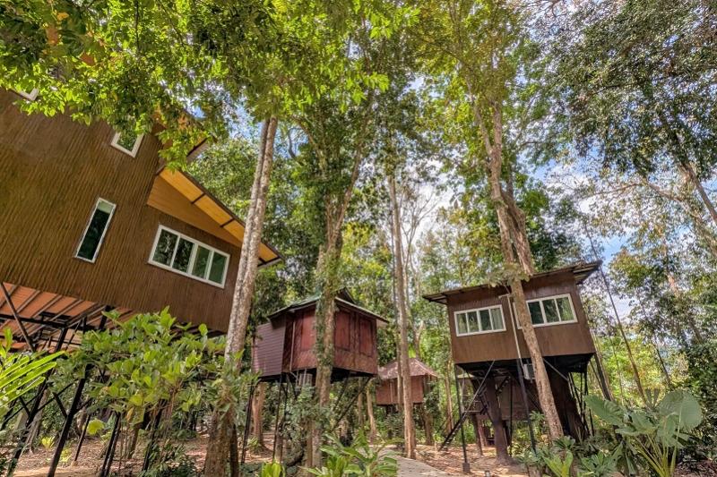 KhaoSok Nature Resort Greenwood