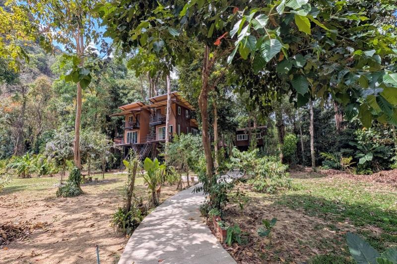 Khao Sok Nature Resort Nationaal Park