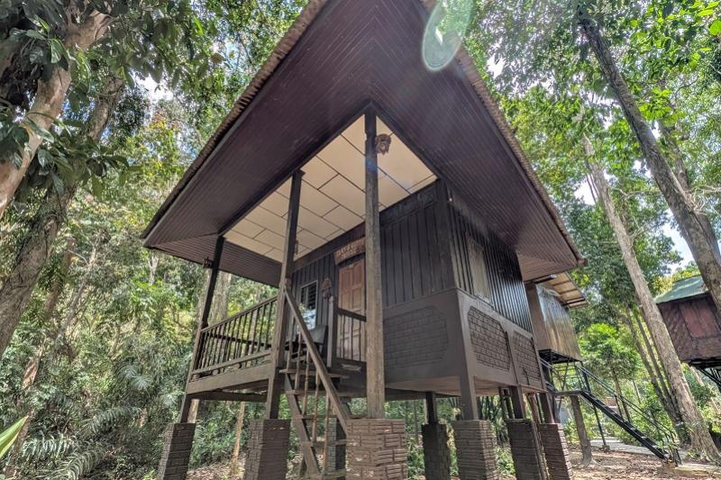 KhaoSok Nature Resort Khaosok trekking