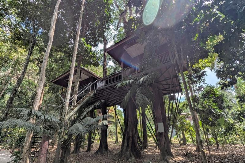 Khao Sok Nature Resort