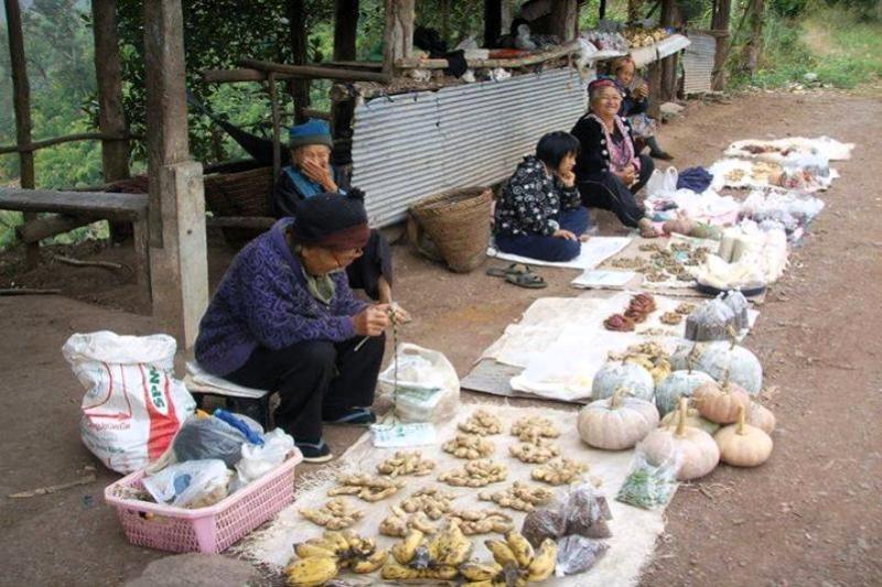 Nan excursie Geesten van de Gele Bladeren