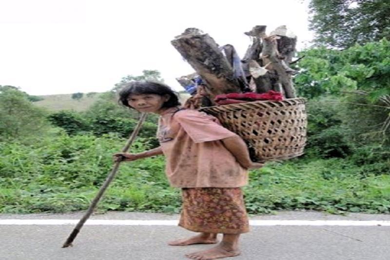 Nan excursie Geesten van de Gele Bladeren